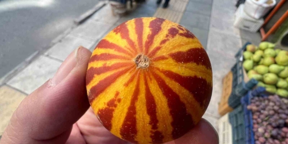 Elazığ’da Kokulu Süs Kavunu Tezgahlarda