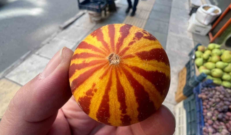 elazigda-kokulu-sus-kavunu-tezgahlarda-APFA7Gfv.jpg