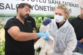 Elazığ'da Yolda Görülen Kaya Parçalarının Temizlenmesi
