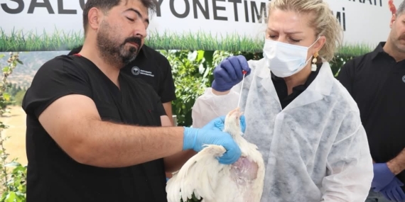 Elazığ’da Kuş Gribi Eğitimi ve Bilgilendirme Programı