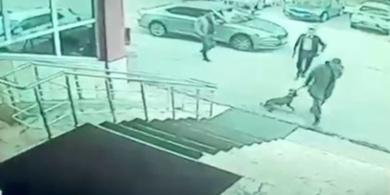 Erzurum Palandöken Kaymakamı ve Korumasına Yönelik Soruşturma Başlatıldı
