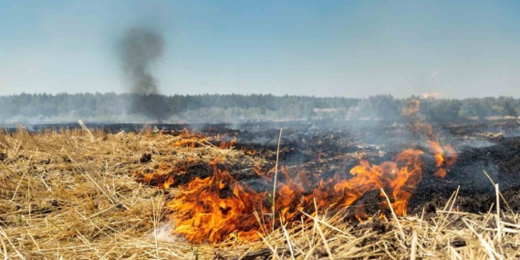 Fırat EDAŞ’tan Anız Yakma Uyarısı ve Çevre Güvenliği Önlemleri
