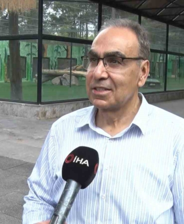 gaziantepte-yirtici-adasi-macerasi-vta11SYe.jpg