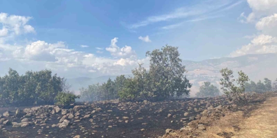 Karakoçan’da Çıkan Yangın Kontrol Altına Alındı