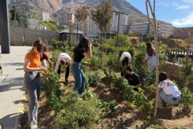 Batman'da Gazze İçin Özgürlük İçin Oturma Eylemi Düzenlendi