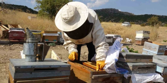 Malatya Balı Hızla Tüketildi: Kilogramı Bin 500 Lira