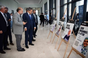 Malatya'da Koruma Altındaki Yaban Keçileri Sürü Halinde Görüntülendi