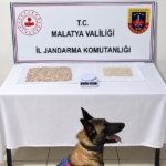 Malatya'da Otomobil ve Motosiklet Kazası: 1 Kişi Ağır Yaralı thumbnail