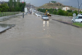 Başkan Taşkın'ın Hayvan Barınağında Gerçekleştirdiği Detaylı İnceleme