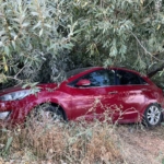 Battalgazi'de Taziye Evi Yatırımları Devam Ediyor thumbnail