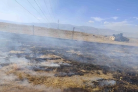 Elazığ’da Tır ile Otomobil Çarpıştı: 2 Yaralı