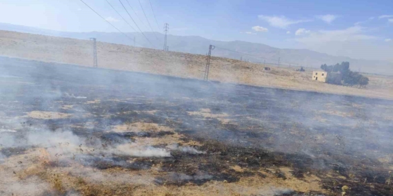 Muş’ta İki Bölgede Çıkan Anız Yangınları Kontrol Altına Alındı
