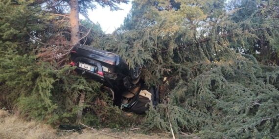 Otomobilin Ağaca Çarpması Sonucu Bir Kişi Yaralandı