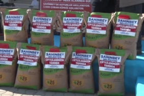 Adıyaman'da Sokak Köpeklerinin Saldırısına Uğrayan 4,5 Yaşındaki Çocuk Ağır Yaralandı