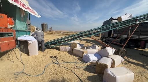 Samandan Ekmek Kazanmak: Geleneksel Bir Ekonomik Yöntem
