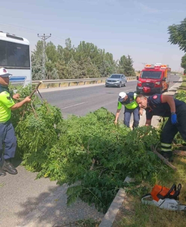 siddetli-ruzgar-agac-dusmesine-neden-oldu-AcRHj4hK.jpg