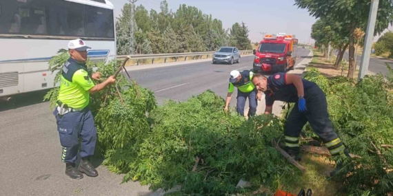 Şiddetli Rüzgar Ağaç Düşmesine Neden Oldu