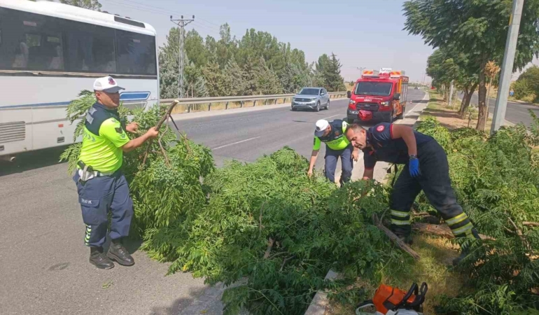 siddetli-ruzgar-agac-dusmesine-neden-oldu-AcRHj4hK.jpg