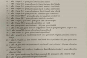 Elazığ Öğrencilerinin Gazzeli Akranları İçin Dayanışma Etkinliği