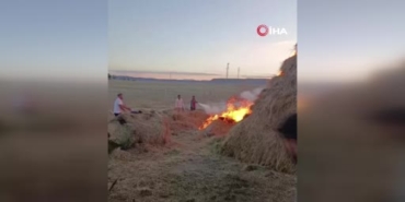 tekmanda-yuzlerce-ot-balyasi-yanginda-kul-oldu-dPTQuxcT.jpg