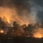 Van'ın Erciş İlçesinde Çobanlar Arasında Silahlı Kavga: 1 Ölü, 3 Yaralı thumbnail