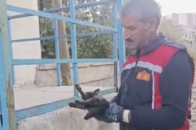 Elazığ'da Alkollü Şahıs Kaçırdığı Otobüsle Korku Saçtı: 30 Araca Zarar Verdi