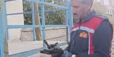 yuksekovada-aracta-mahsur-kalan-kedi-kurtarildi-bEdFJzGA.jpg