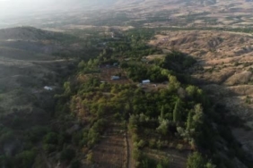 27-yillik-ogretmenin-bahcesinde-ceviz-uretimi-hakkinda-ilginc-hikaye-8U4pAD1S.jpg