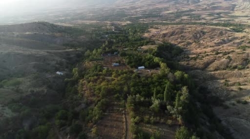 27 Yıllık Öğretmenin Bahçesinde Ceviz Üretimi Hakkında İlginç Hikaye