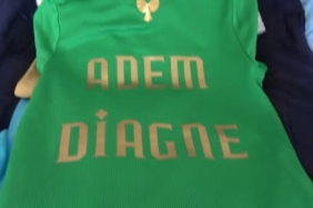 Balata Değişimi Sırasında Tekerlekten Fırlayan Kertenkele Şaşırttı!