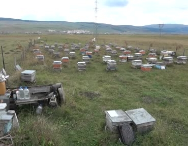 ardahanda-bal-hasadi-tamamlandi-ve-2027-sezonu-icin-kis-calismalari-baslatildi-rJ4rpp4O.jpg