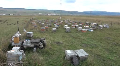 Ardahan’da Bal Hasadı Tamamlandı ve 2027 Sezonu İçin Kış Çalışmaları Başlatıldı