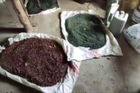 Hasankeyf'in Tarihi Dokusunda Kırlangıç Kuşlarının Yuvalarıyla Şenlenen Çarşı
