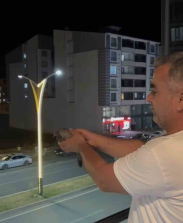 bingolde-havalandirma-bosluguna-dusen-3-guvercin-itfaiye-tarafindan-kurtarildi-lB8fAtGF.jpg