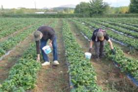 Van'da Kışın Da Tercih Edilen Klimalar: Isıtma Çözümünüz
