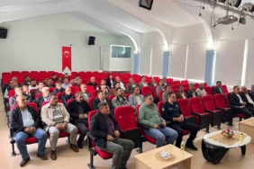 Kedinin Ağaçta Mahsur Kalması: Kurtarma Seferberliği