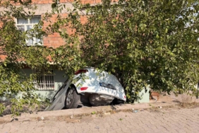 Eğil Belediyesi'nden Üniversite Öğrencilerine Eğitim Desteği Programı