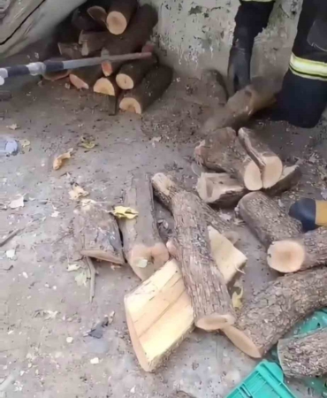 diyarbakirda-odunluga-giren-yilan-itfaiyeyi-alarm-etti-y8NKpRps.jpg