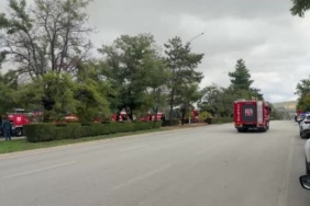 Böyle kaza görülmedi: Yol ortasındaki serçeyi kurtarmak isteyen adama kamyon çarptı