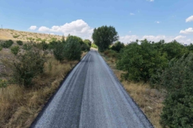 Malatya'da 44 Bin 616 Sentetik Ecza Hapı Ele Geçirildi