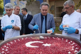 Malatya'da Yaban Keçilerinin Görüntülenmesi