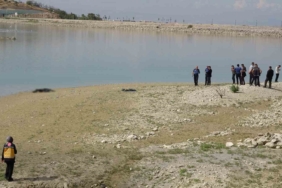 Elazığ’da yangın: 4 kişi yaralandı, yüzlerce kayısı ağacı yandı