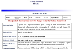 Elazığ'da 17 Bin Ton Salatalık Üretimiyle Yeni Örtü Altı Sezonu Başladı