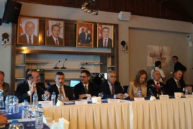 Adilcevaz Cevizinde Yüksek Rekolte Beklentisi